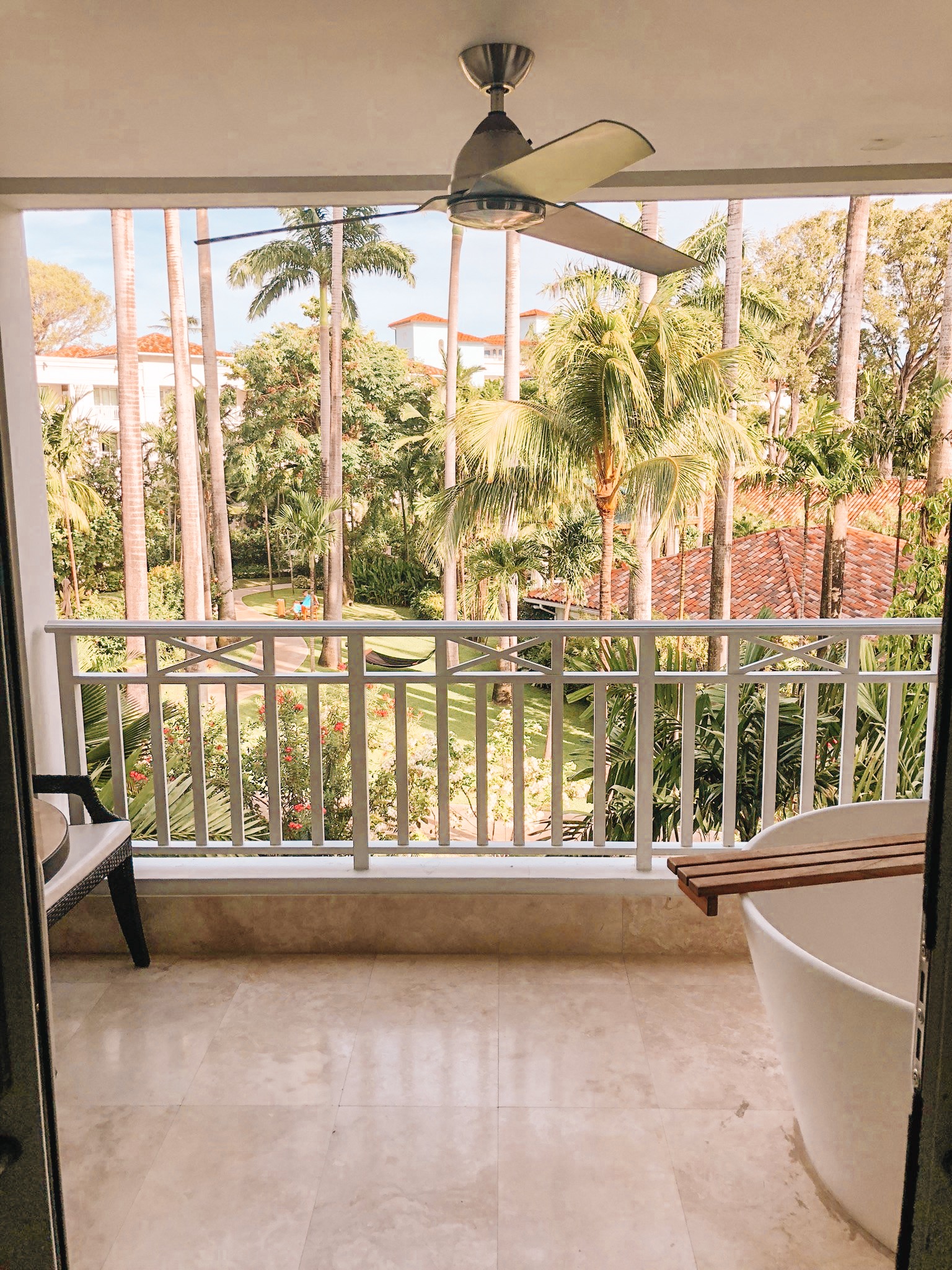 view out of room looking at palm tree and roofs