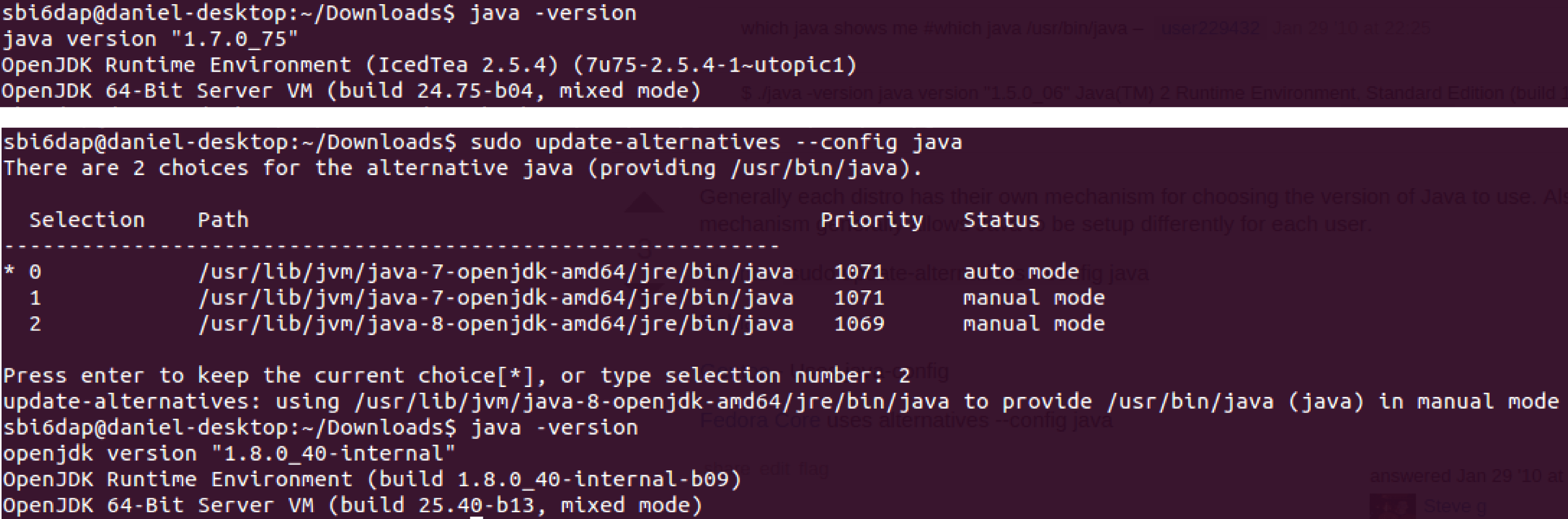 Method for fixing incorrect java versions on linux using update