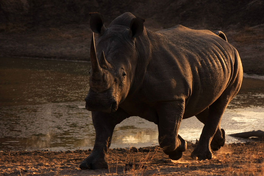 301 Moved Permanently