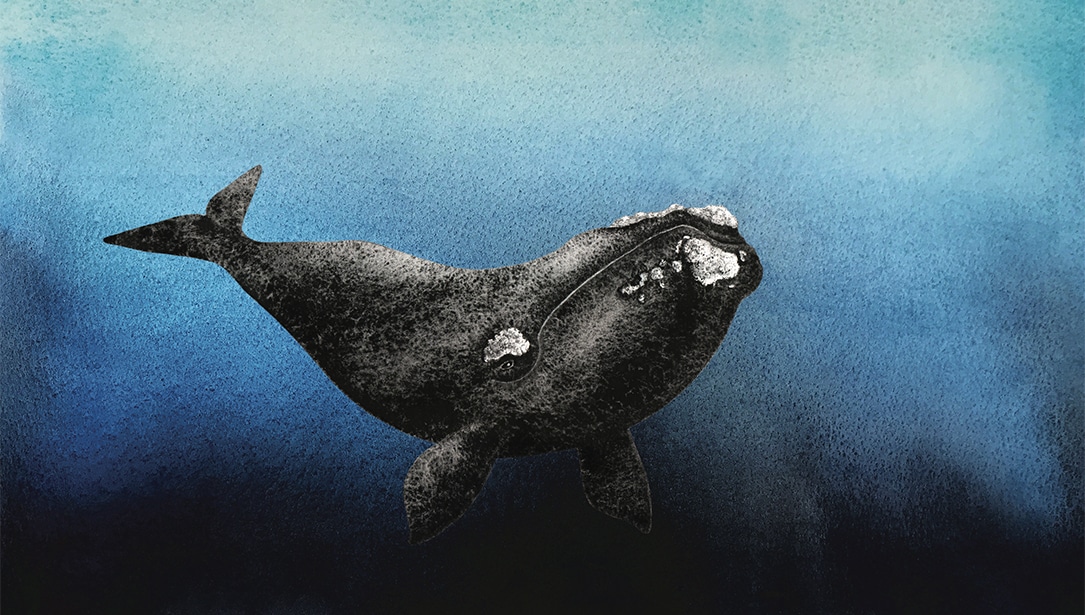 cindy lane art tutorial citycafeatcbc