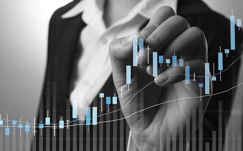 Capital Market Law Daniş