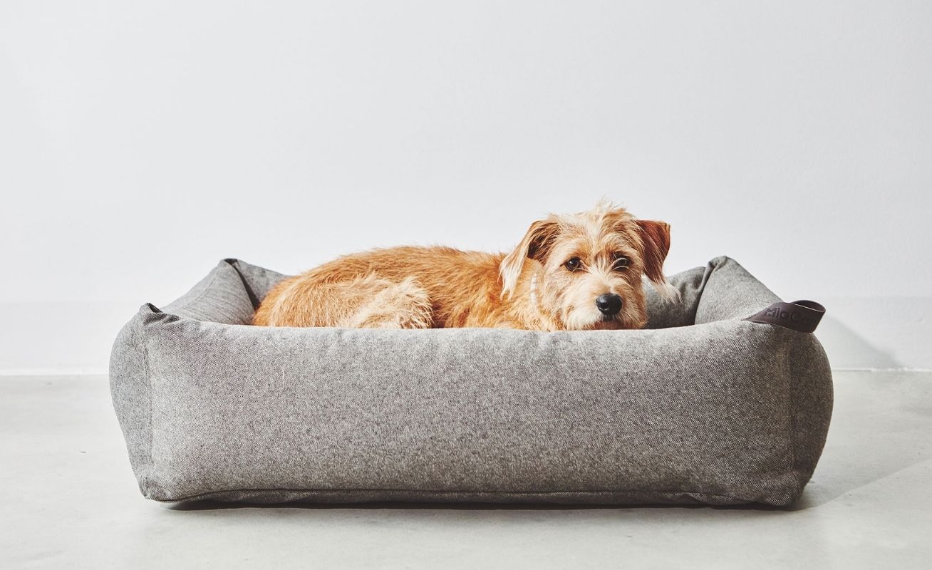 Stella Dog Box Bed Luxury Pet Furniture Danish Design Co