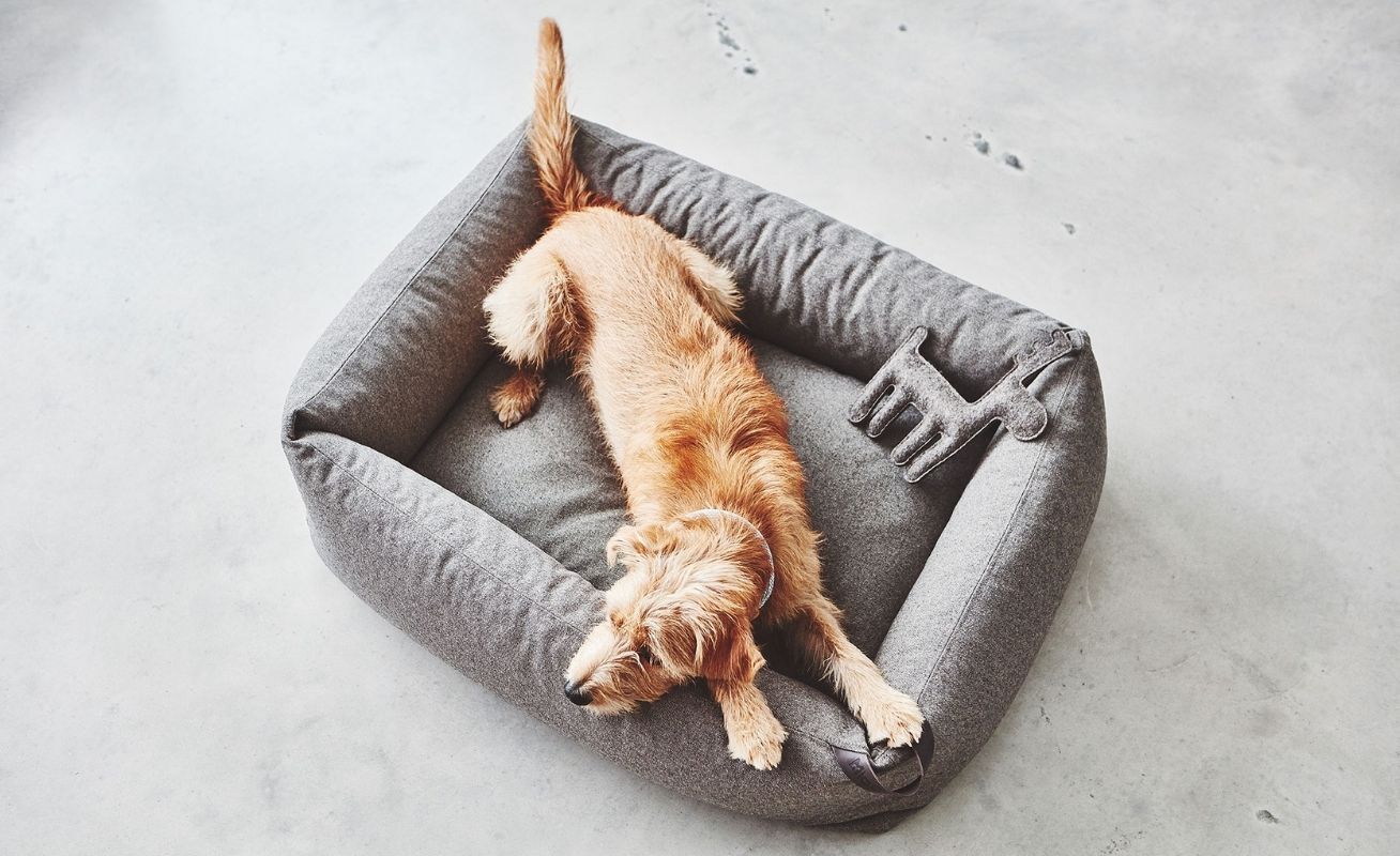 Stella Dog Box Bed Luxury Pet Furniture Danish Design Co