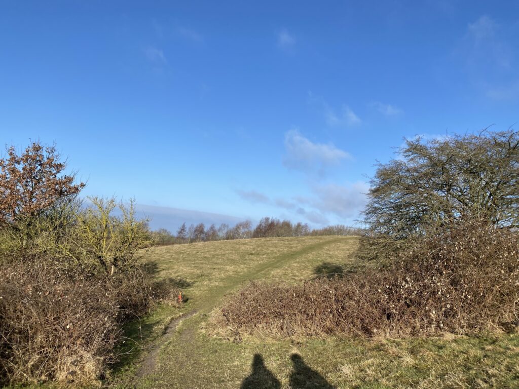 Svanninge Bakker og Bjerge. 10 km. Danish Hikings