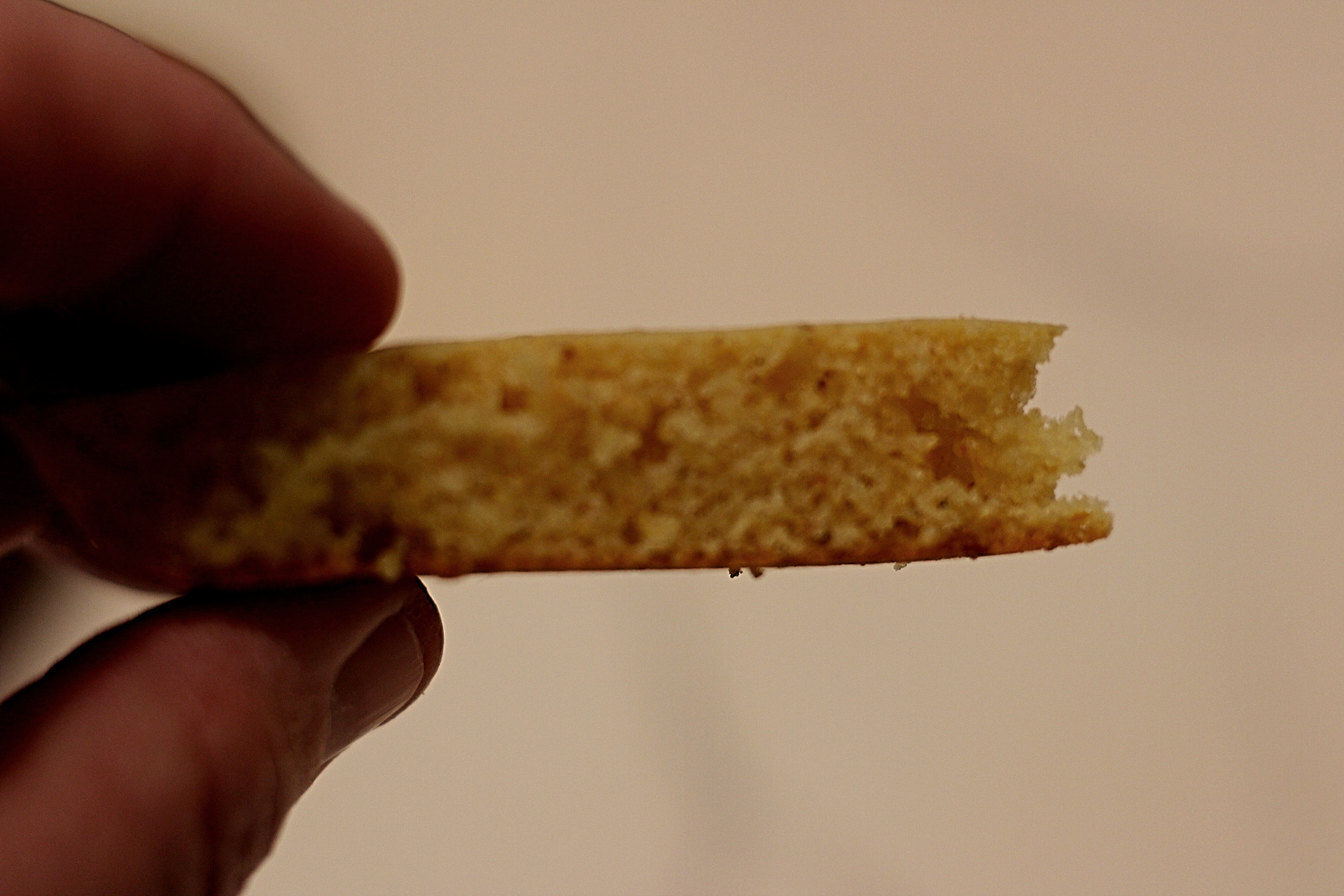 Toaster corn cakes The perfect breakfast treat Dani's Midlife Homestead