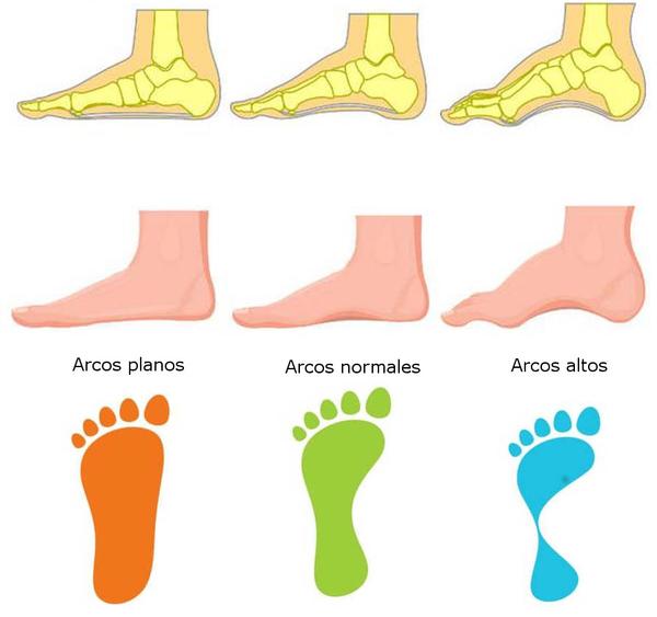 FORTALECE TU PIE EVITA LESIONES Y MAXIMIZA EL RENDIMIENTO Dani Trainer