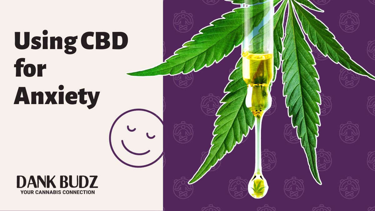 Using CBD for Anxiety CBD Products for Anxiety