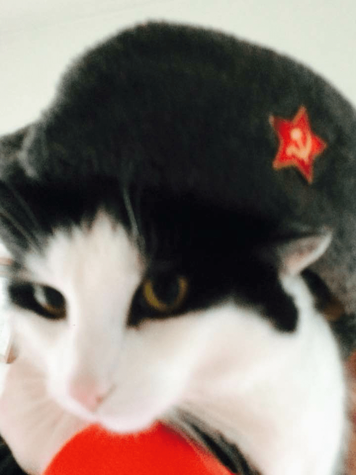 Soviet Animals