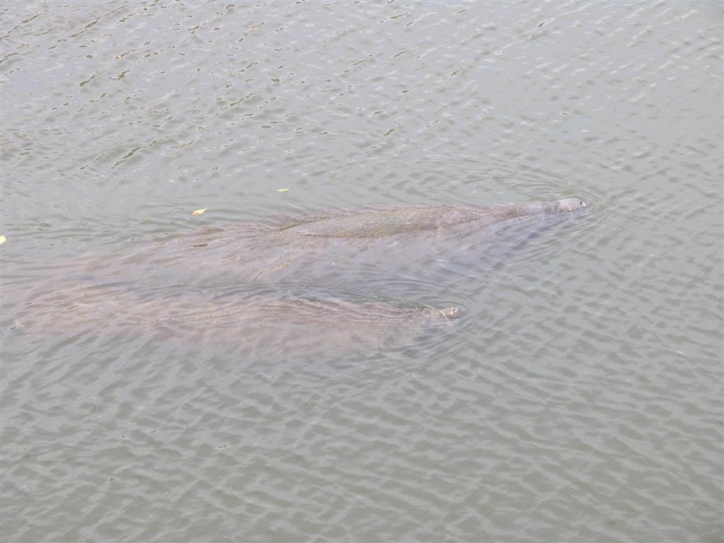 Electric Supply Electric Supply Tampa Florida