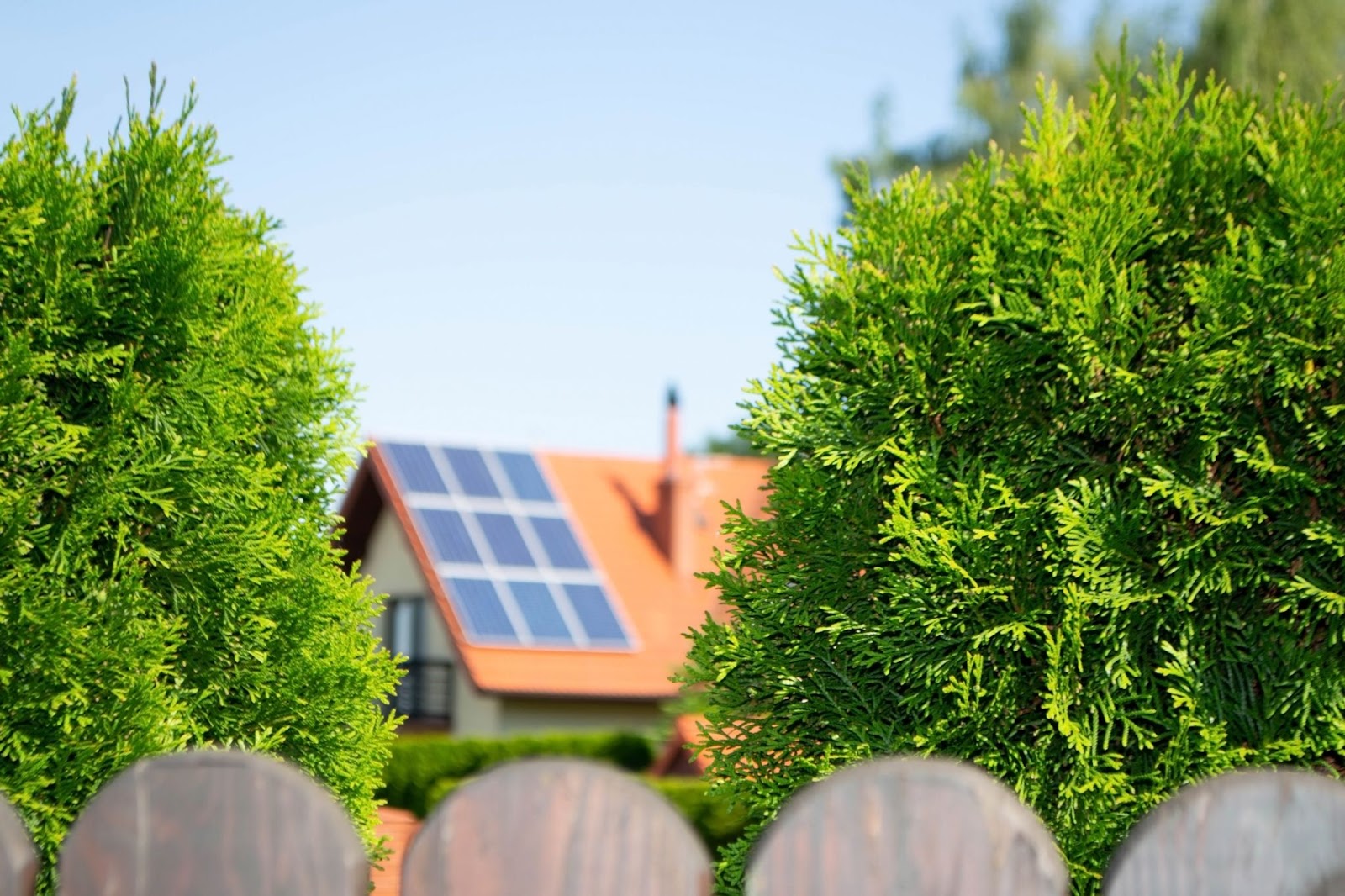 Can You Put Solar Panels In Your Backyard at June Love blog