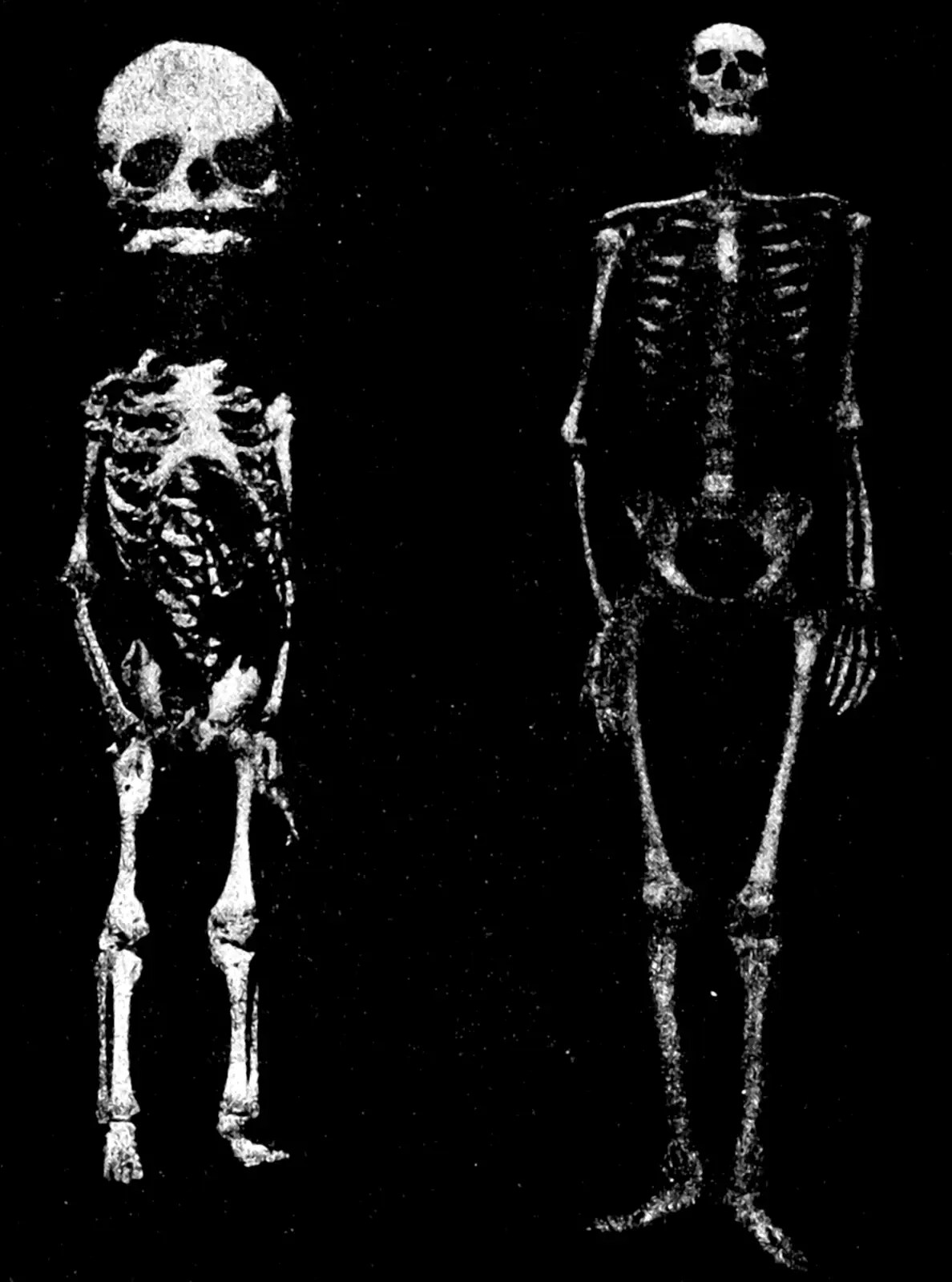 Maximum Mean Discrepancy, HilbertSchmidt Independence Criterion — The