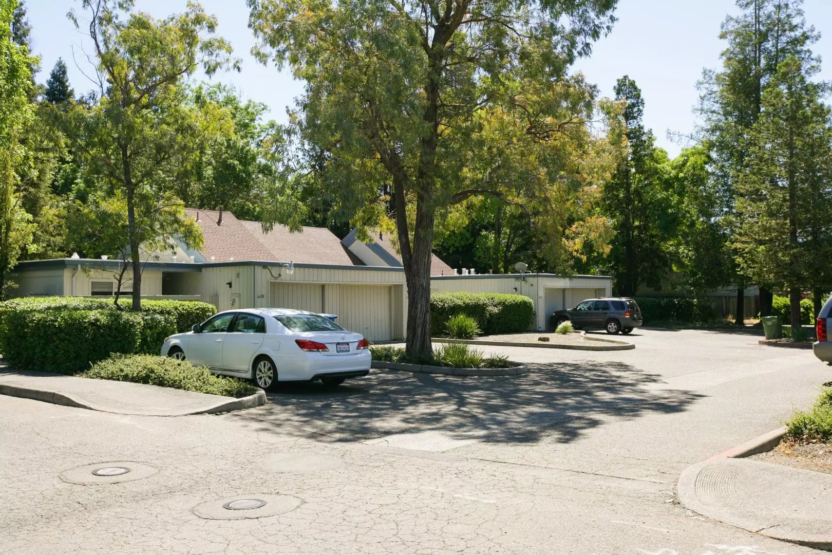 Creekside Apartments Dan McGue