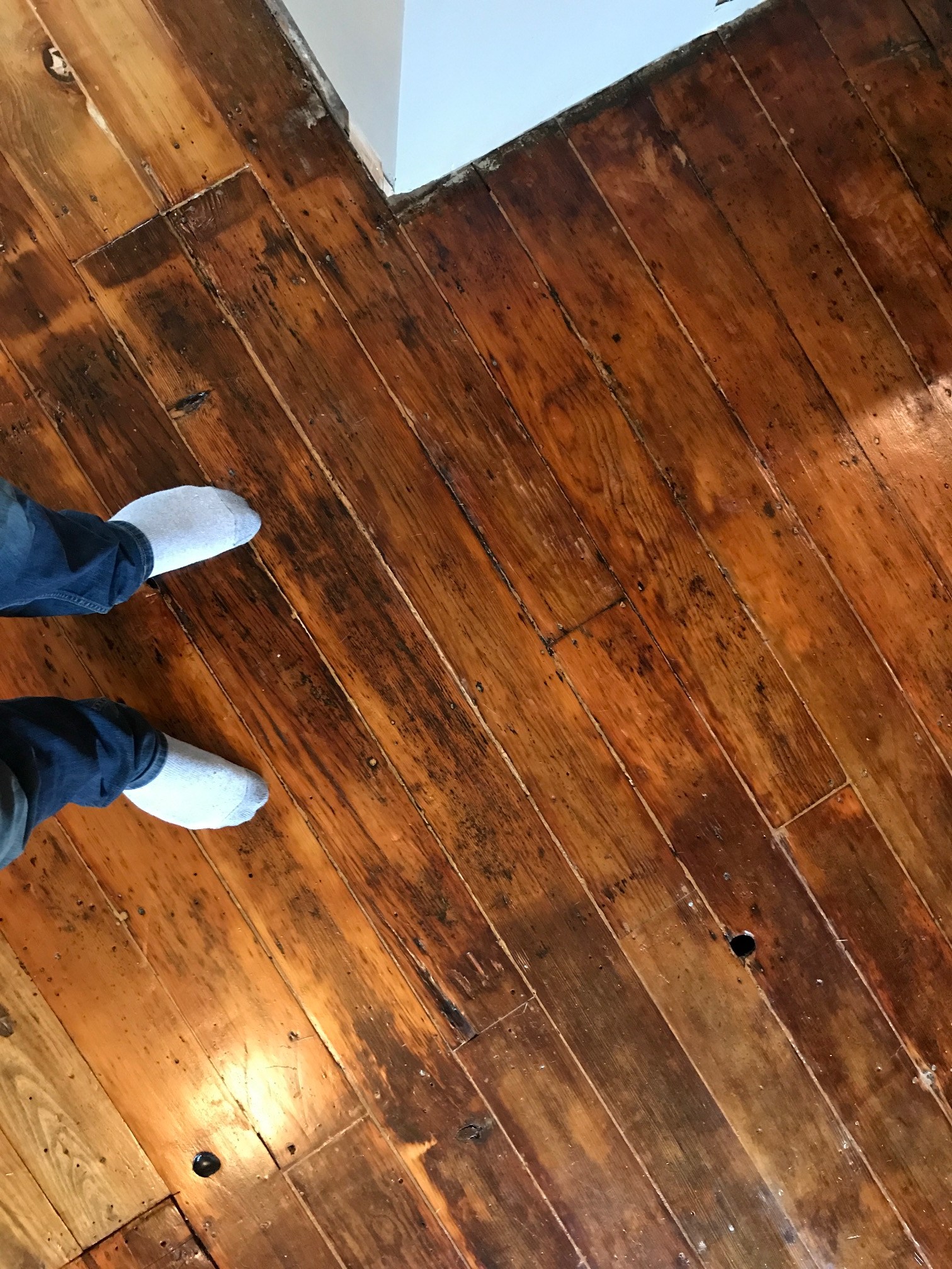 Refinishing Old Growth Fir Floors Floor Roma