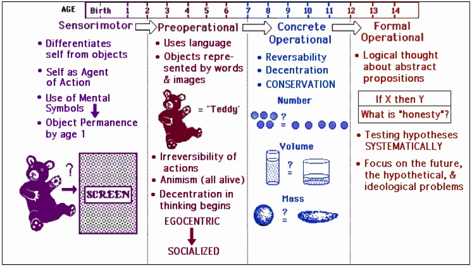 √ 20 Piaget Cognitive Development Chart ™ Dannybarrantes Template