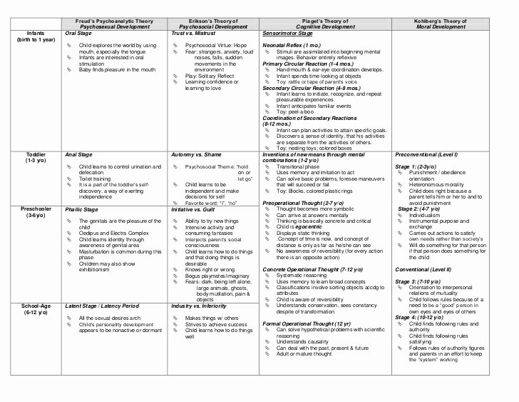 √ 20 Piaget Developmental Stages Chart ™ Dannybarrantes Template