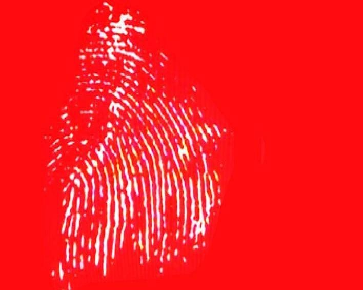 Wie Is De *Gaaaaap* Mol? | Danman!