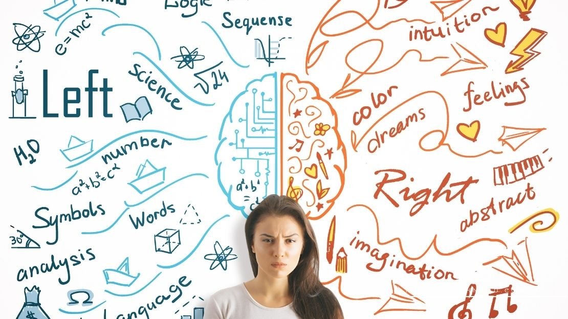 Did You Know About These 25 Fascinating Memory Facts Danny's Delight