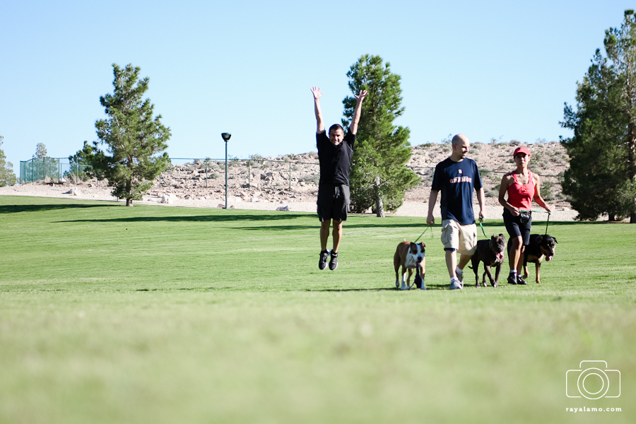 dannys dogs las vegas dog training
