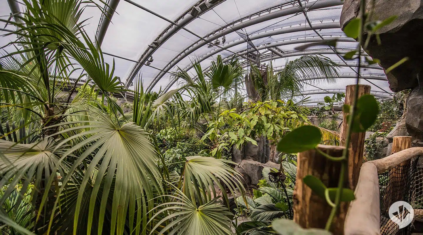 Chester Zoo Islands danpearlman