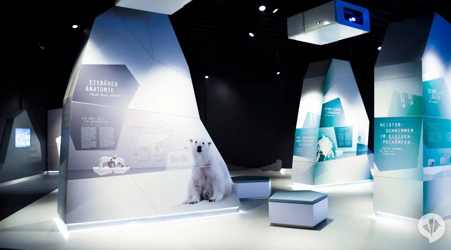 Polarium Rostock Zoo dan pearlman