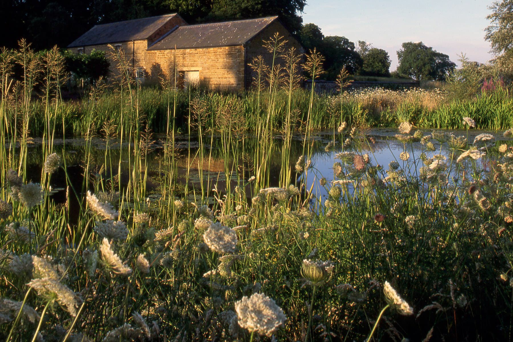 Home Farm Dan Pearson Studio