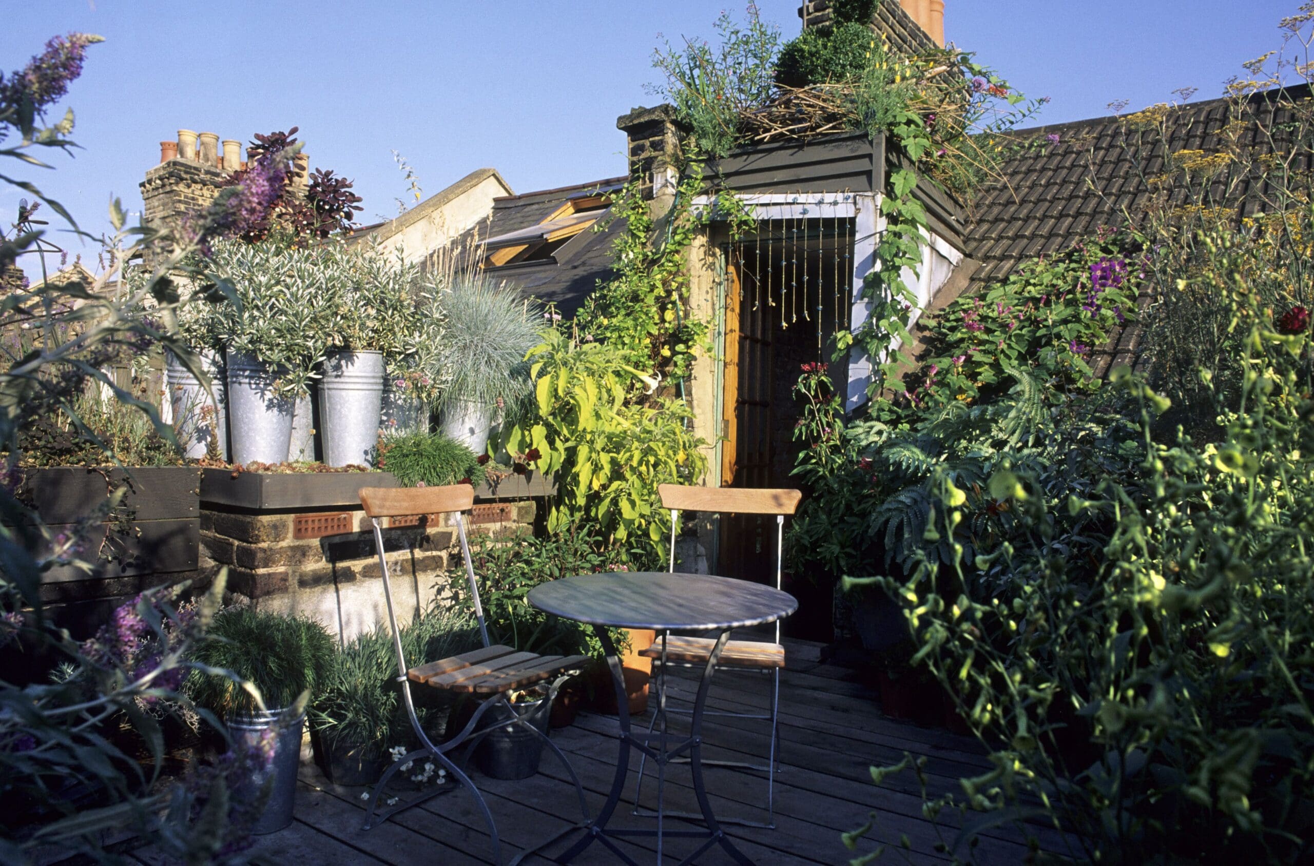 Bonnington Square Dan Pearson Studio