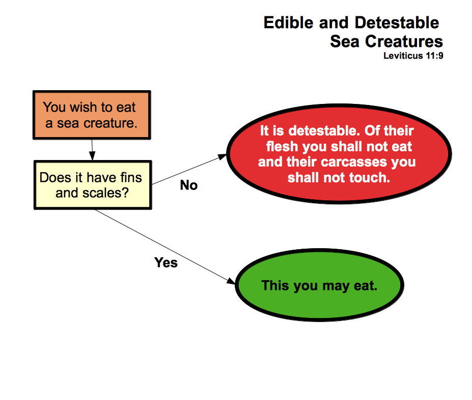 Leviticus Blog › Leviticus Chapter 11