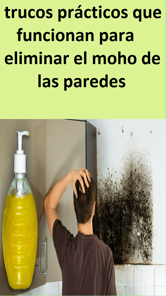 trucos prácticos que funcionan para eliminar el moho de las paredes