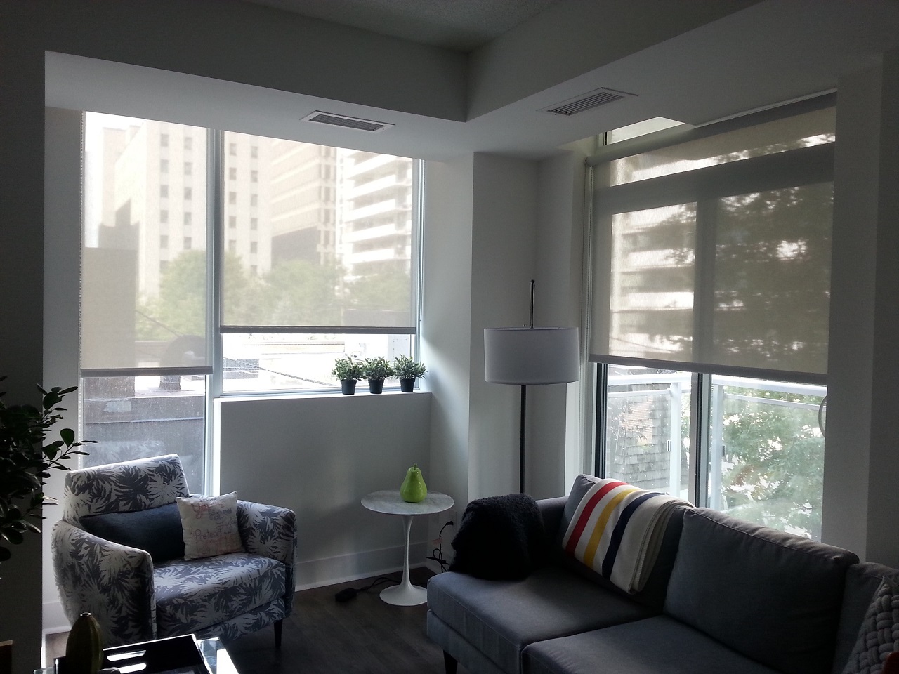 Solar shade light filtering Dans Blinds