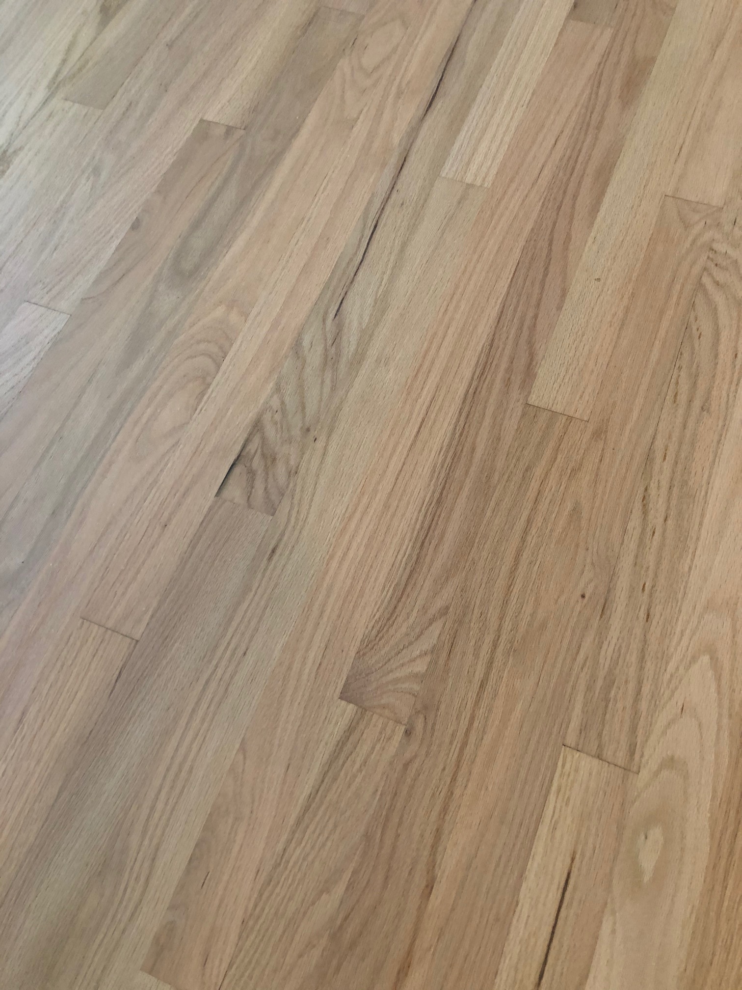 Natural Look for Red Oak Floors in St. Augustine, FL