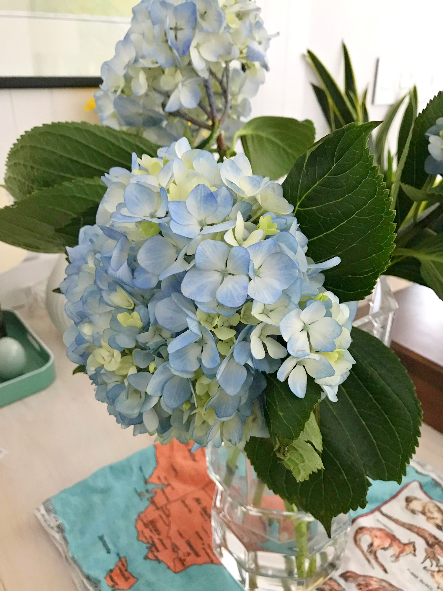 How to Revive Wilted Hydrangeas Dans le Lakehouse