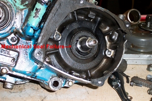 Dan's Motorcycle "Oil Seals"