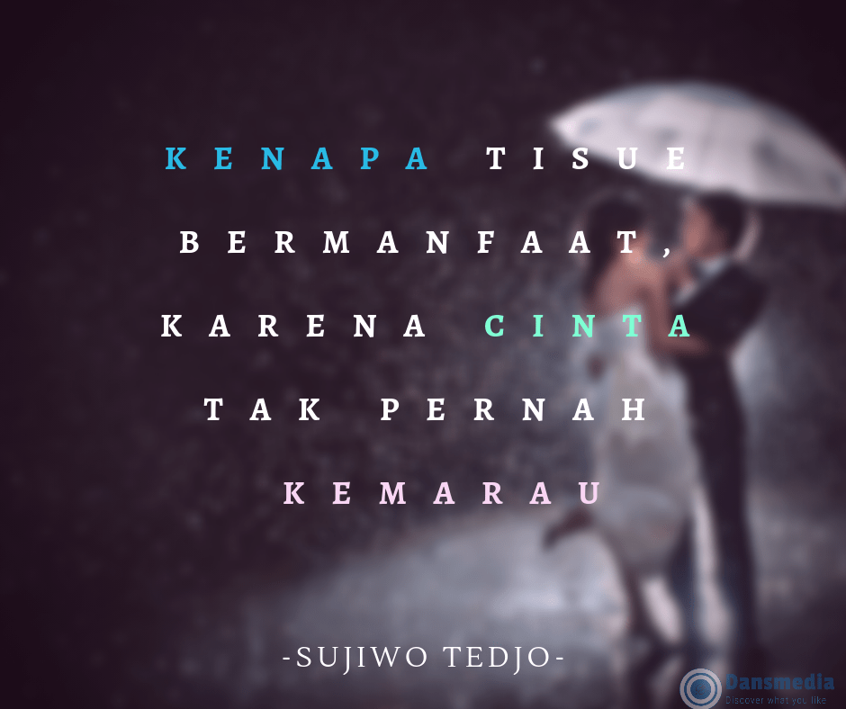 Quotes Bahasa Indonesia Tentang Cinta Celoteh Bijak
