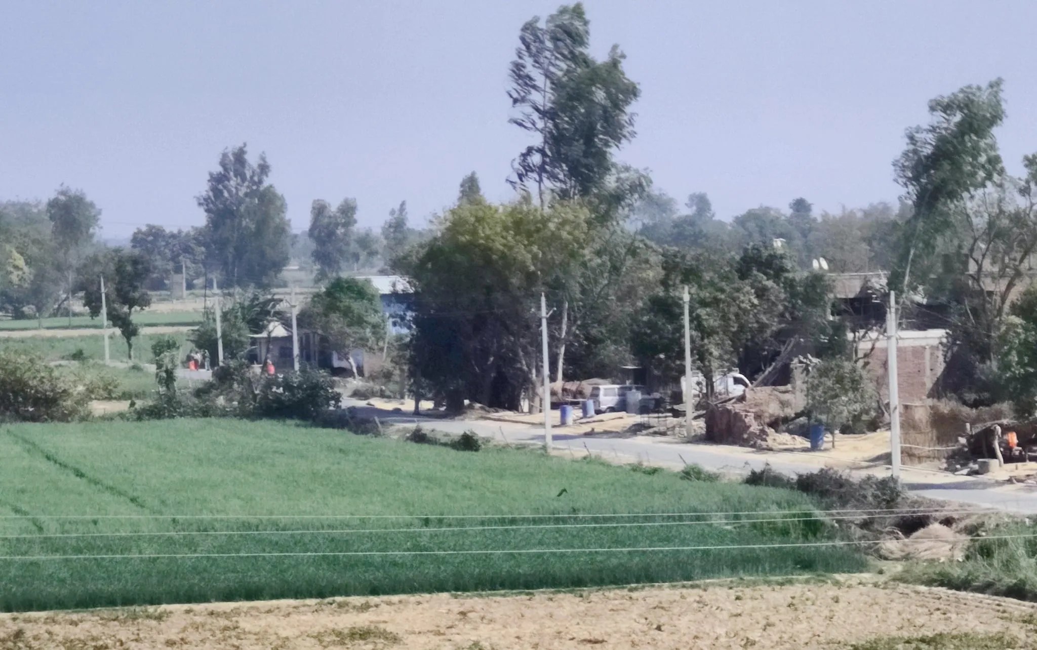 LUCKNOW Daniel W Spink