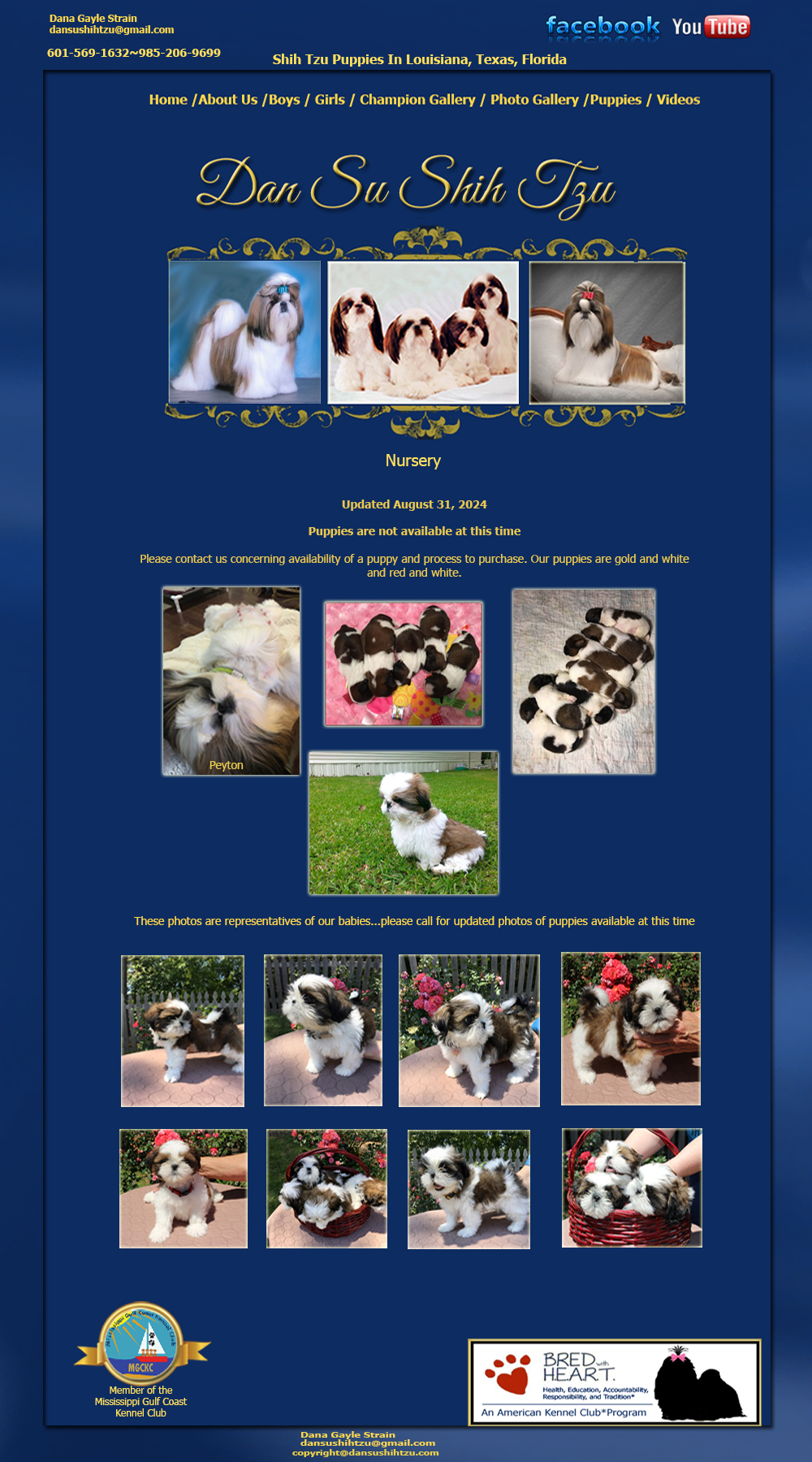 Louisiana Texas Alabama Shih Tzu puppies Shih Tzu puppies Dan Su