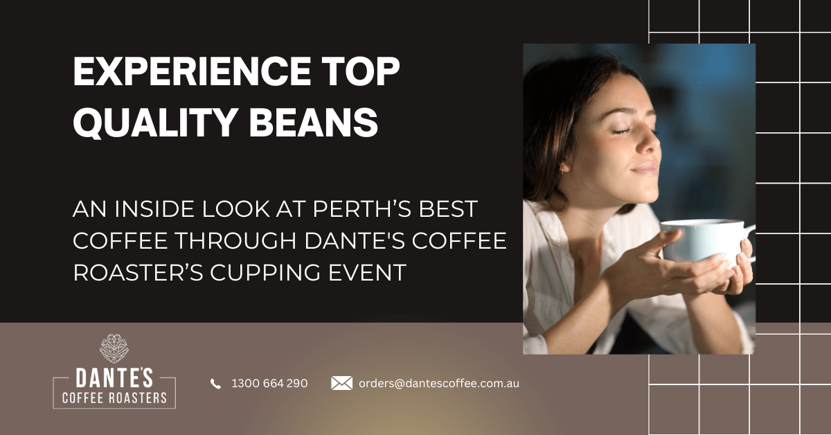 Behind the Roast An Inside Look at Perth’s Best Coffee Through Dante's