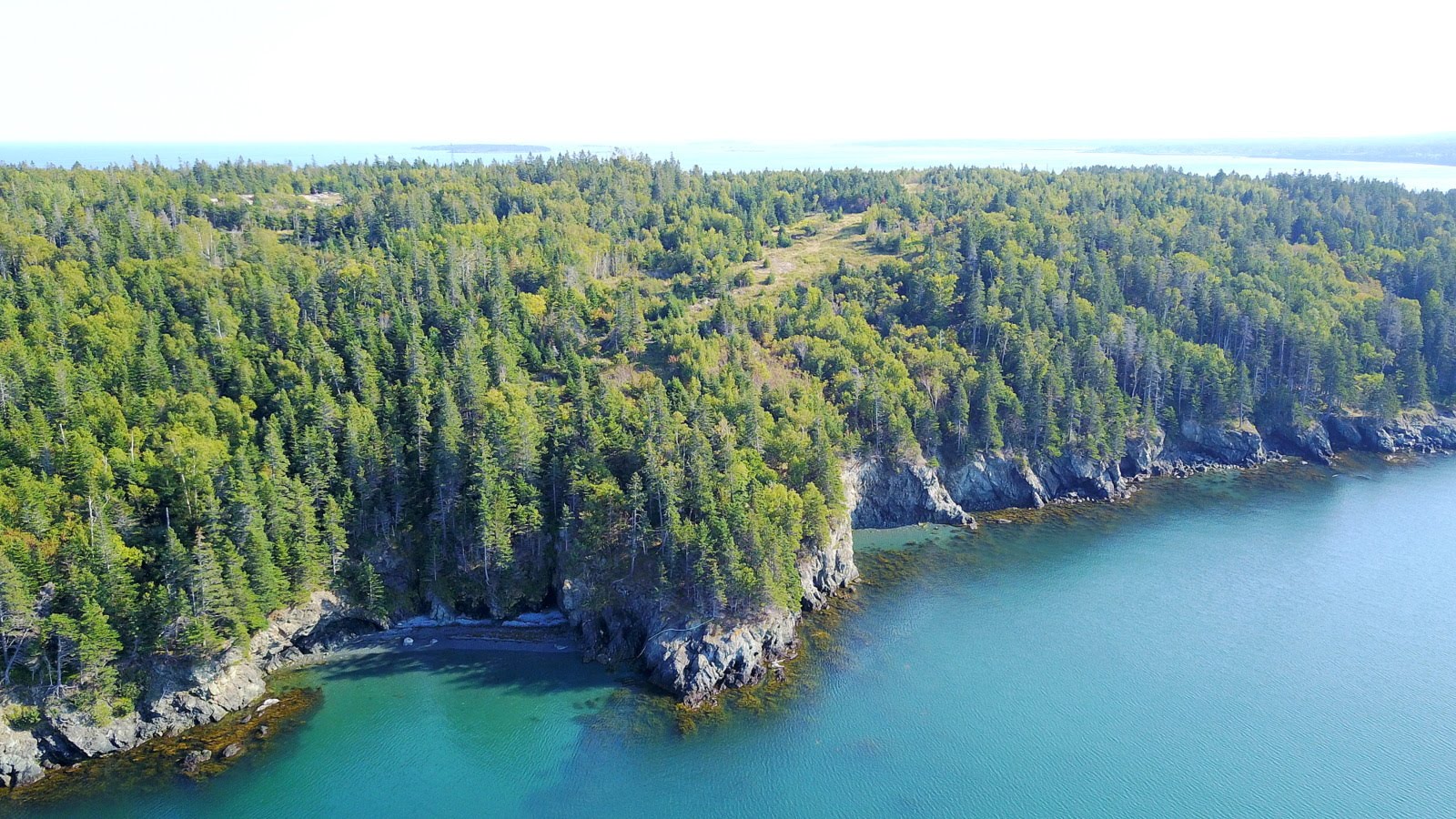 Dan ster Grand Manan Real Estate New Brunswick