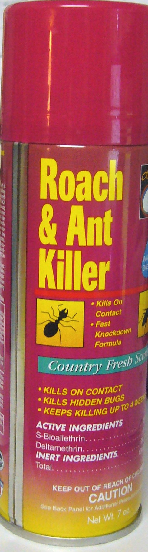 ant-roach-killer – danyel smith