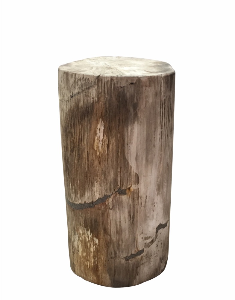 PW150 9″ L X 10″ W X 20″ H | DAO