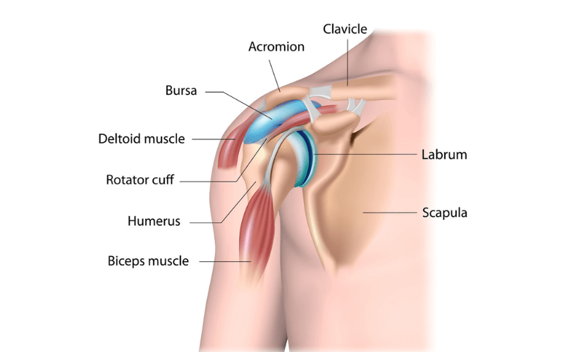 Frozen Shoulder Vs Rotator Cuff Understanding the Difference