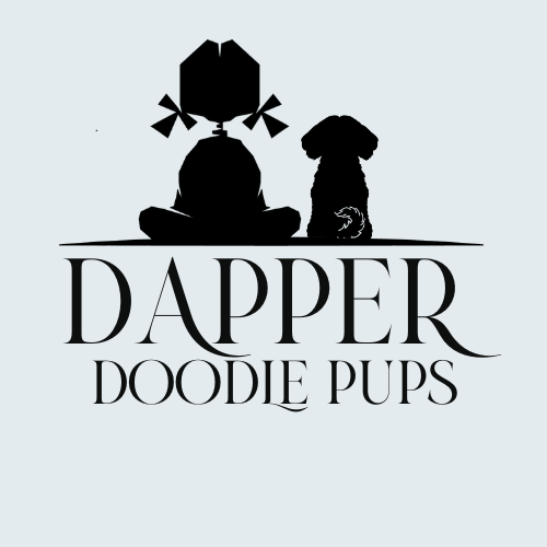 Puppy Fear Stages Dapper Doodle Pups