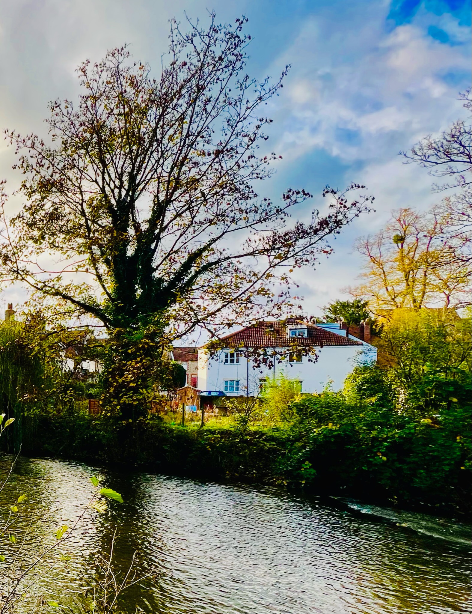 Dapps Hill Haven Holiday Rental in Keynsham Near Bath & Bristol