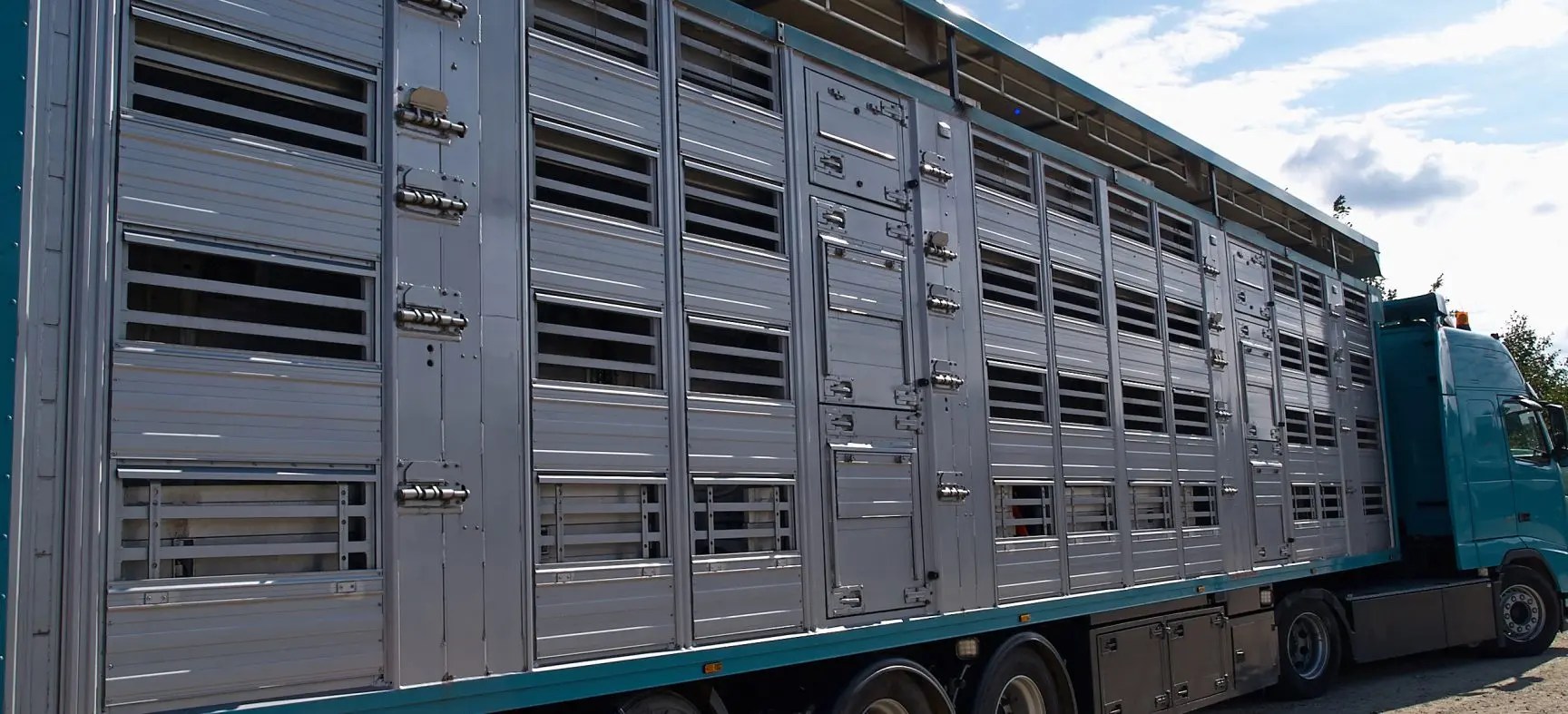 LE TRANSPORT DES ÊTRES ANIMAUX D'ELEVAGE CAPSULE DAQ N° 37 DAQ