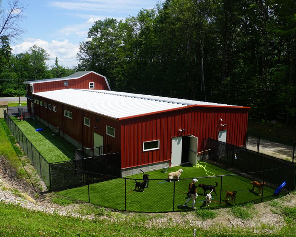 Darbster Doggy Adoption, Boarding & Grooming New Hampshire