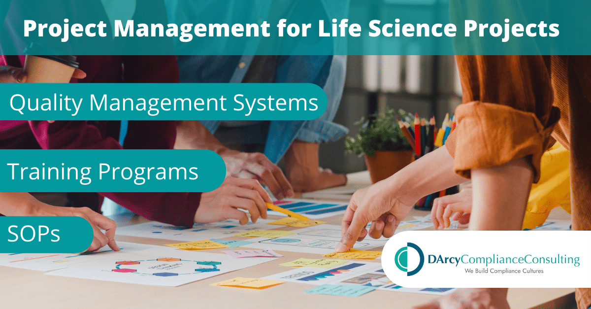 Project Management DArcy Compliance Consulting