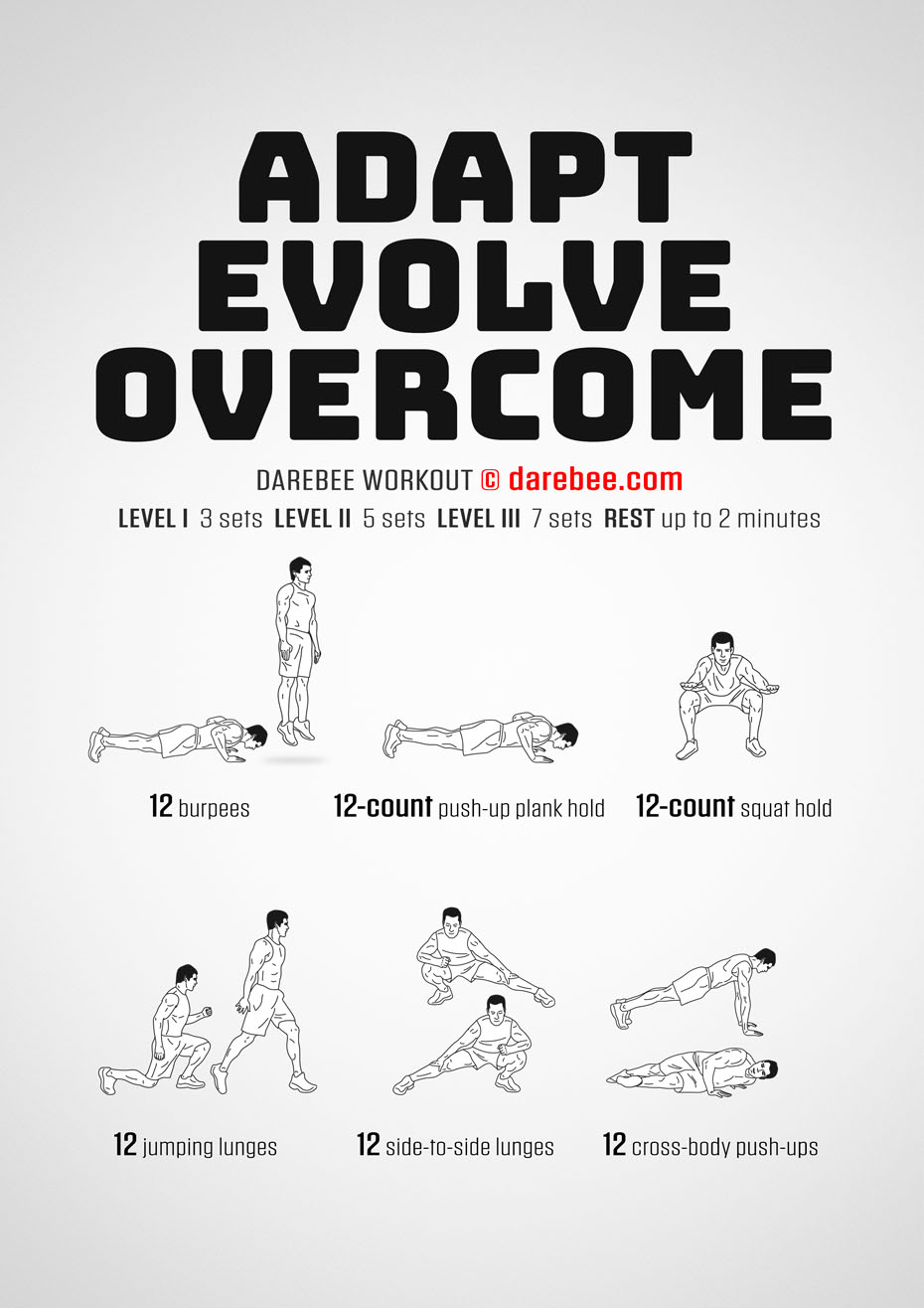 Adapt Evolve Workout