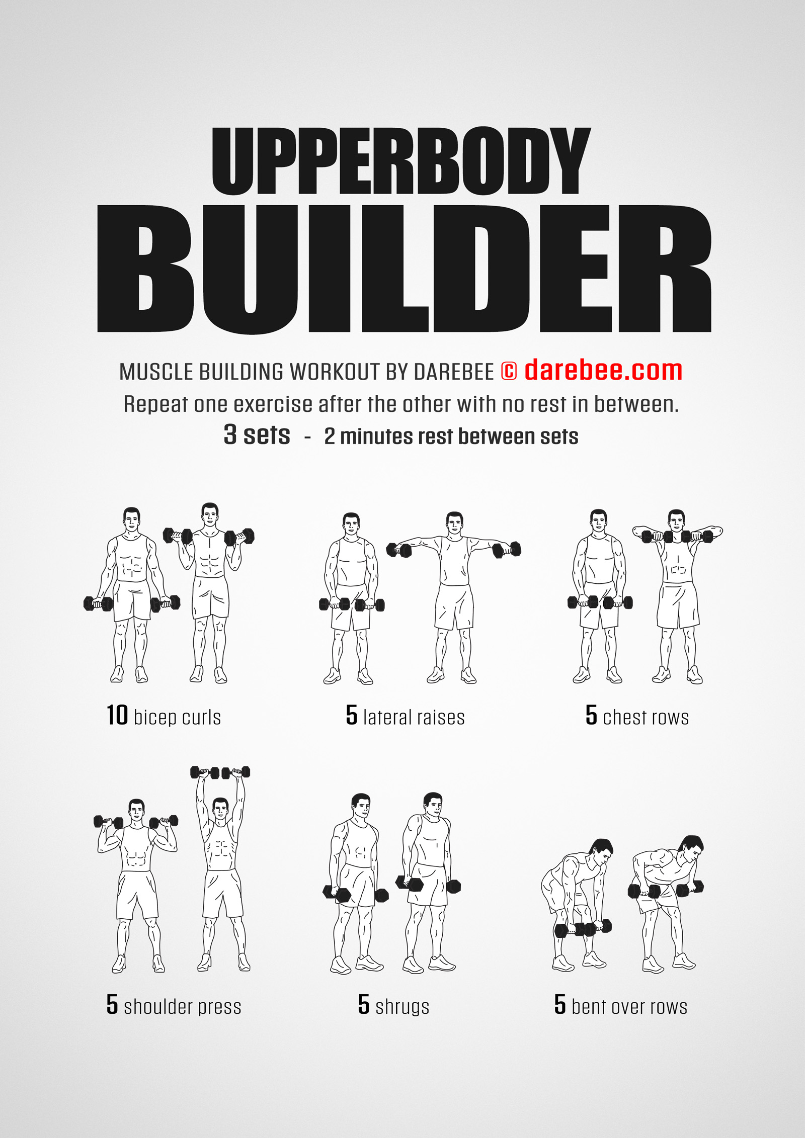 Upper Body Muscle Building Circuit - Circuit Diagram