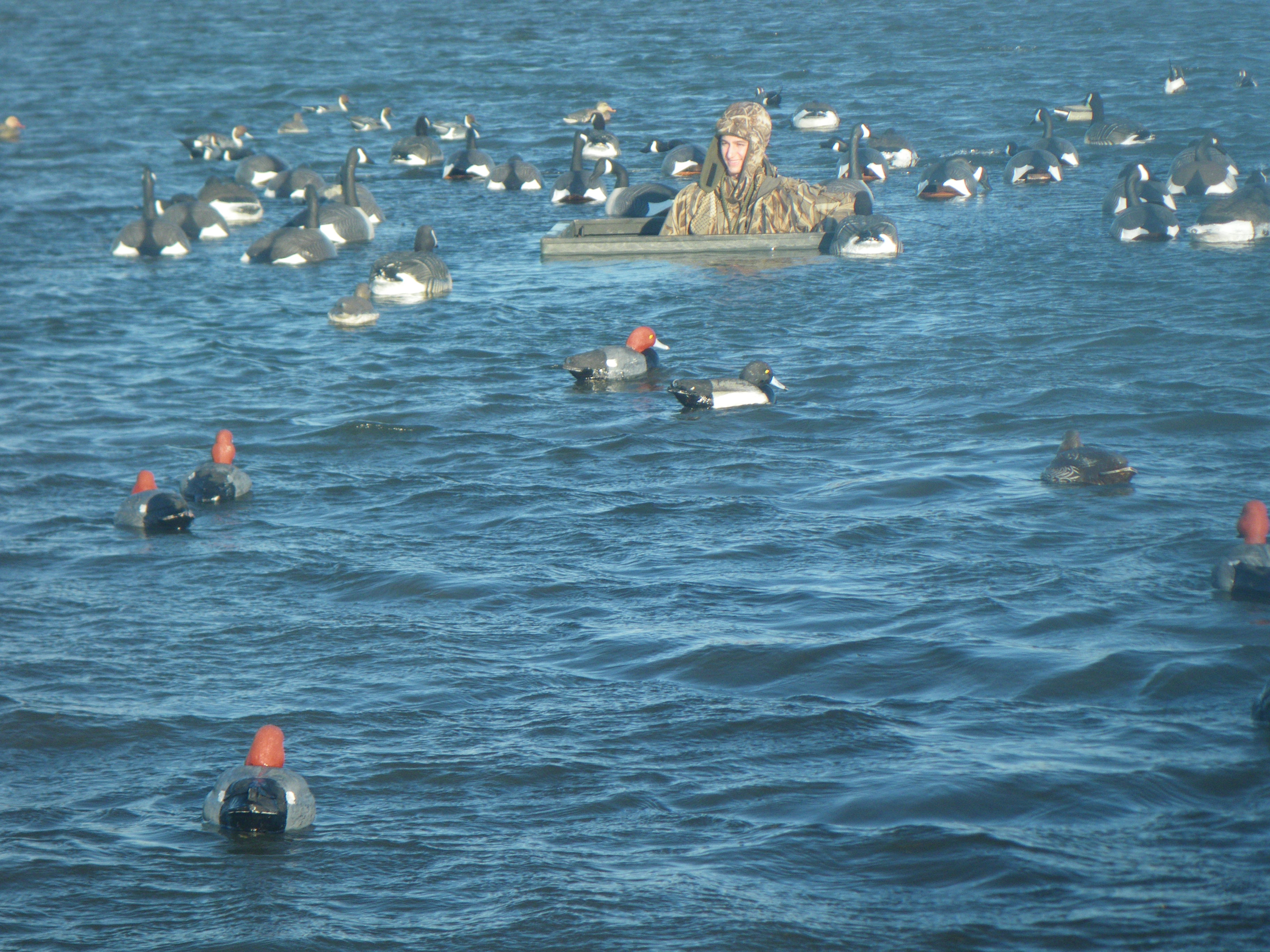 Waterfowl Hunting Finest waterfowl hunting available for Ducks, Geese, and Tundra Swans in Dare