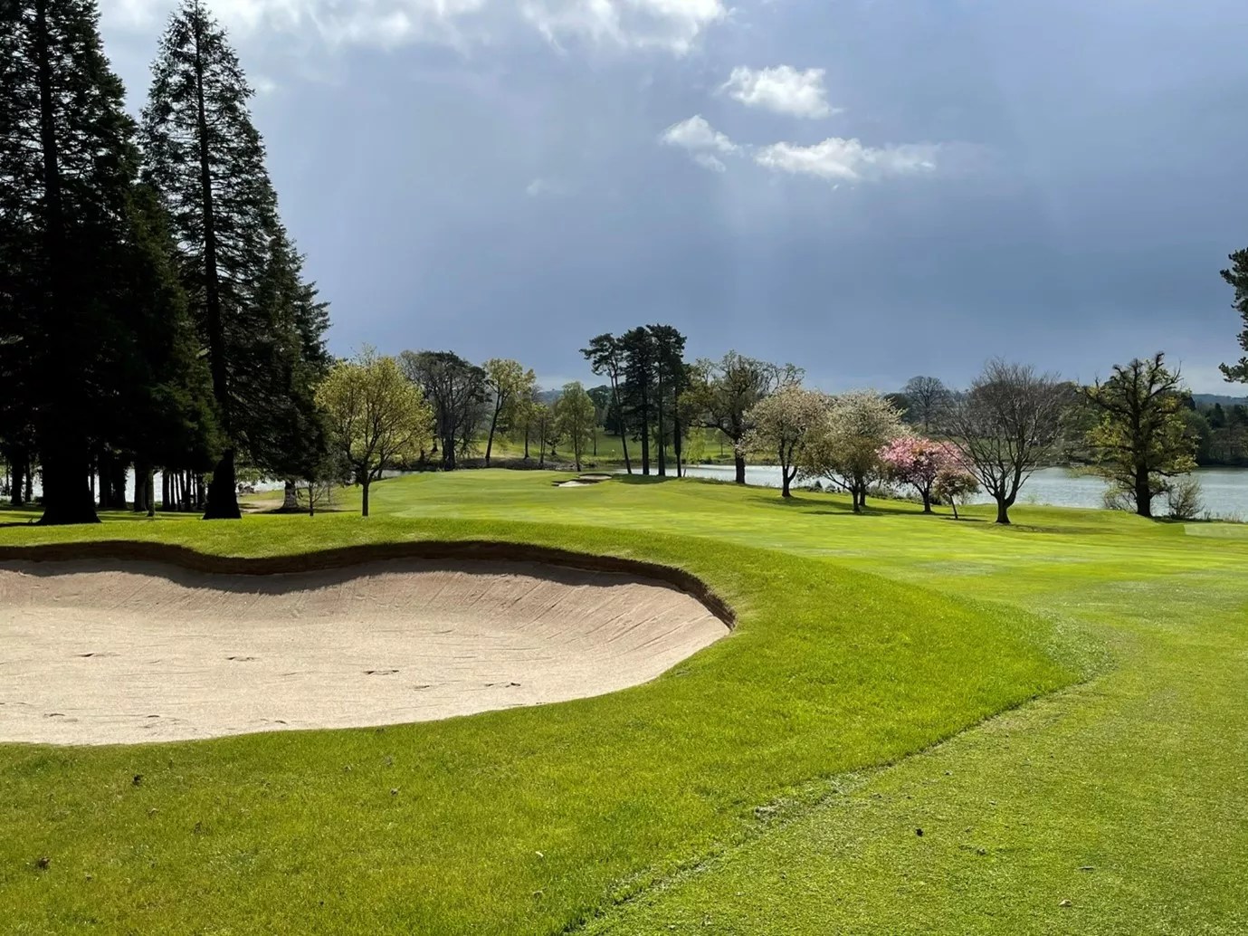 Malone Golf Course DAR Golf