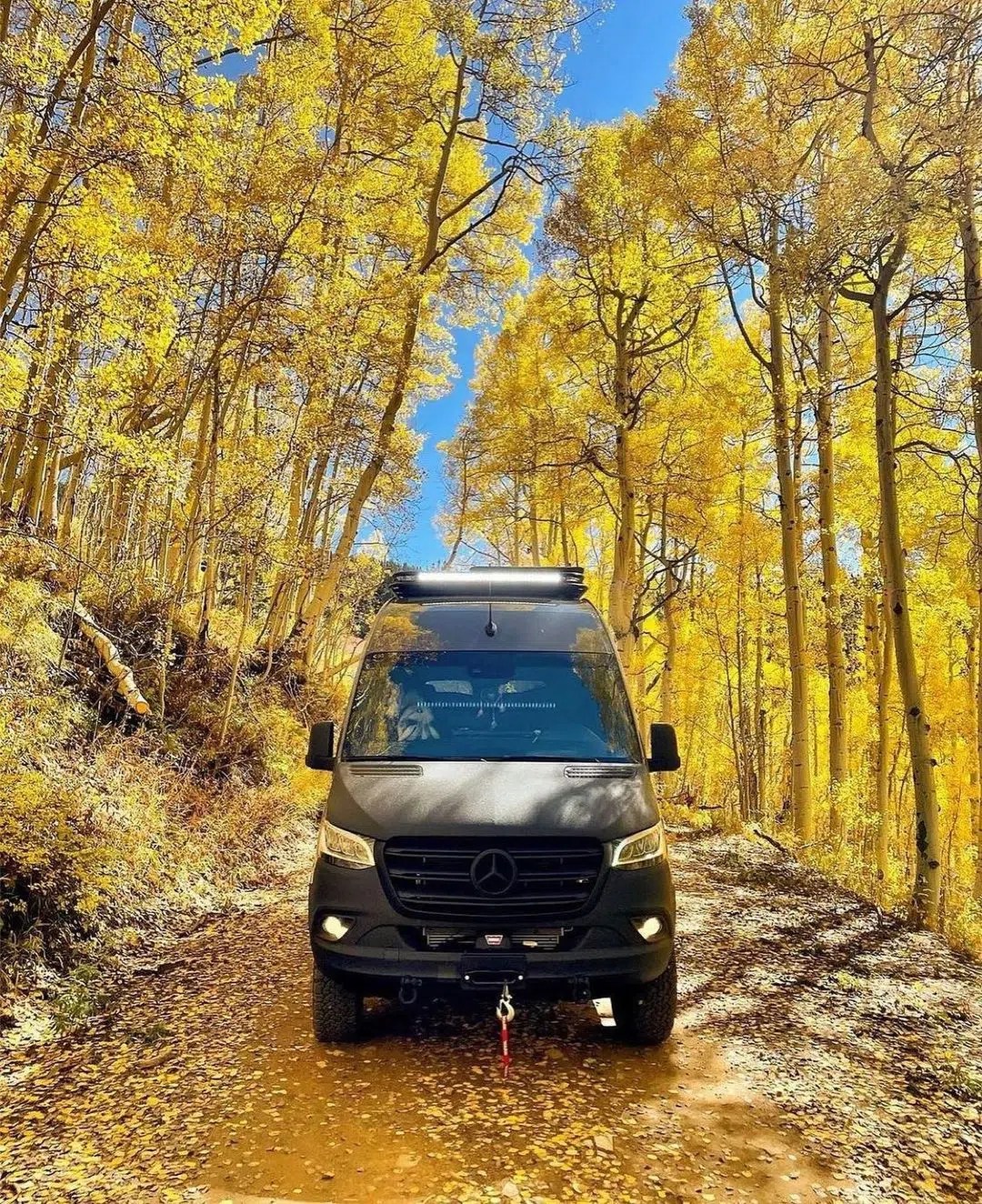 What Vanlife Conversion Van Get's The Best Gas Mileage?